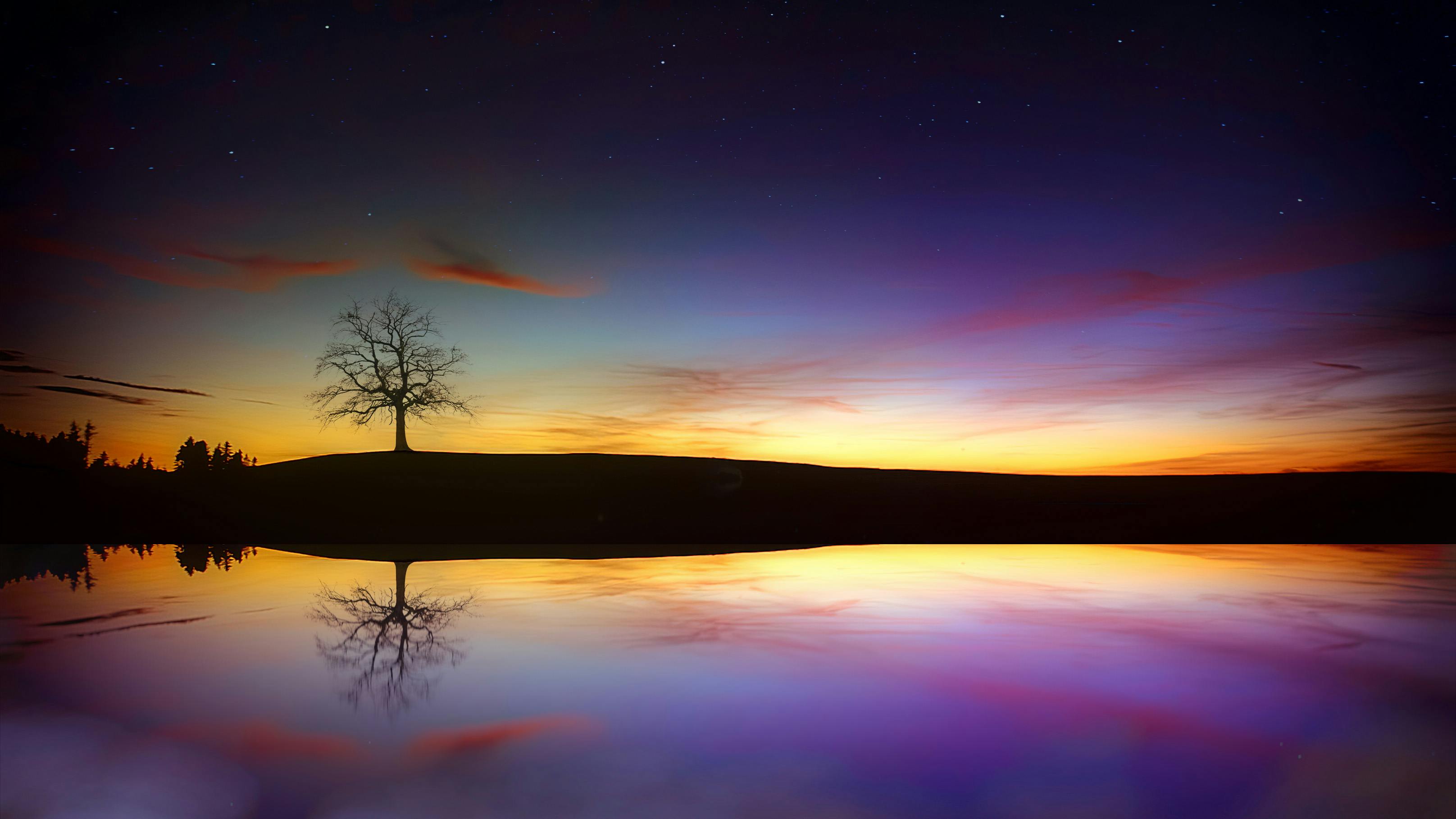 A lone tree stands by the lake at night, the starry sky reflected in the water creates a dreamy atmosphere. - free wallpaper image