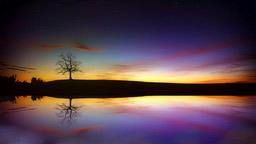 A lone tree stands by the lake at night, the starry sky reflected in the water creates a dreamy atmosphere. - free wallpaper image