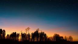 Silhouettes of trees against a night sky with stars, with an orange afterglow in the sky. - free wallpaper image