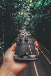 A hand holding a phone, the screen shows a road, with lush trees on both sides, and a few cars driving in the distance. - free wallpaper image