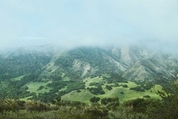 Rolling hills with clouds and mist, green slopes dotted with trees, the distance is a hazy mist. - free wallpaper image