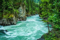 A rushing river flows through a lush green forest, the water is a clear, turquoise color. - free wallpaper image