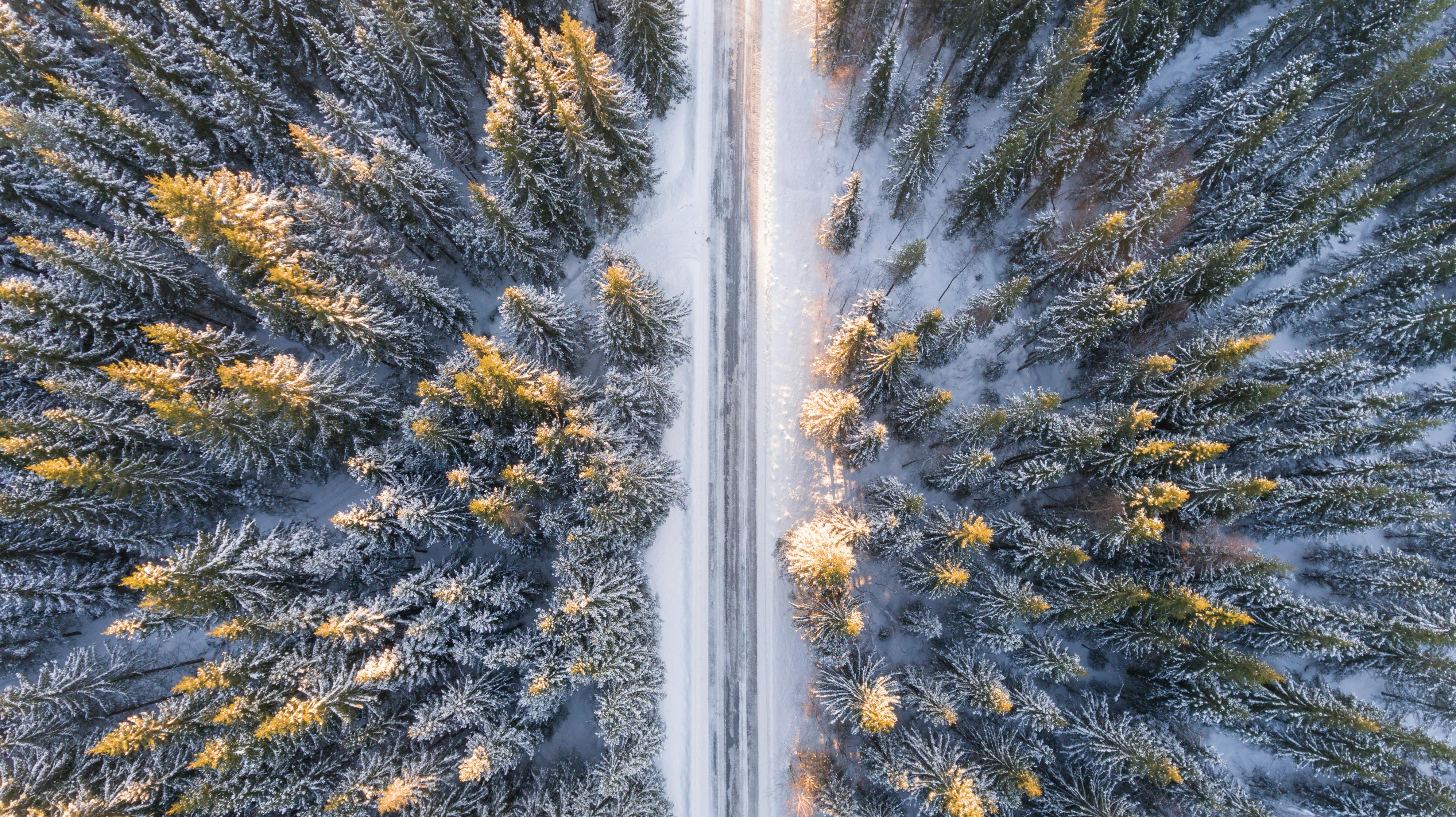 An aerial view of a snow-covered pine forest with a snowy road running through it. The sun is shining on the tops of the trees, creating a beautiful scene. - free wallpaper image