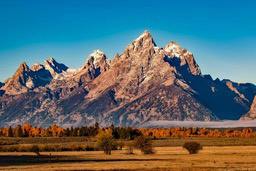 Snow-capped mountains in the distance, a vast meadow with trees at the foot of the mountains, a clear sky, a magnificent view. - free wallpaper image