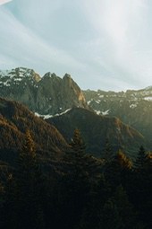 Snow-capped mountains in the distance, dense trees covering the slopes, blue sky and sunshine. - free wallpaper image