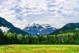 A snowy mountain peak in the distance, green forests at the foot of the mountain, and a vast grassland in the foreground. - free wallpaper image