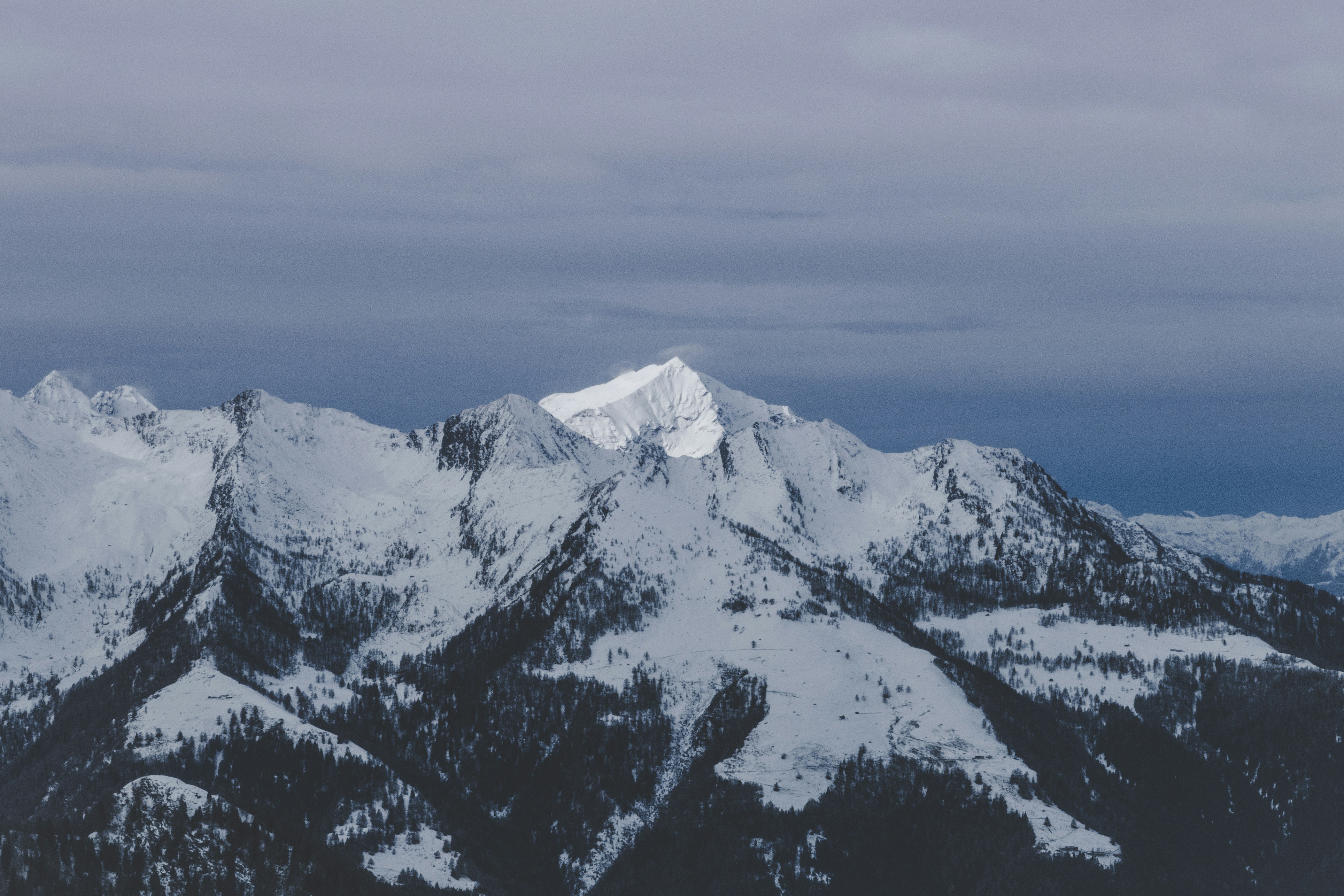 The snow-capped peak of a distant mountain is covered in white snow, the slopes are covered with trees, and the sky is gray-white. - free wallpaper image