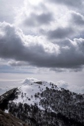 The snow-capped peak of a mountain under a cloudy sky, the mountain slopes are covered with snow, surrounded by trees. - free wallpaper image