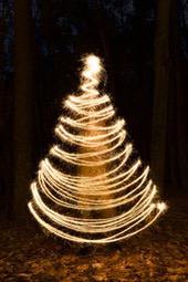 Christmas tree drawn with sparklers in a dark forest - wallpaper image