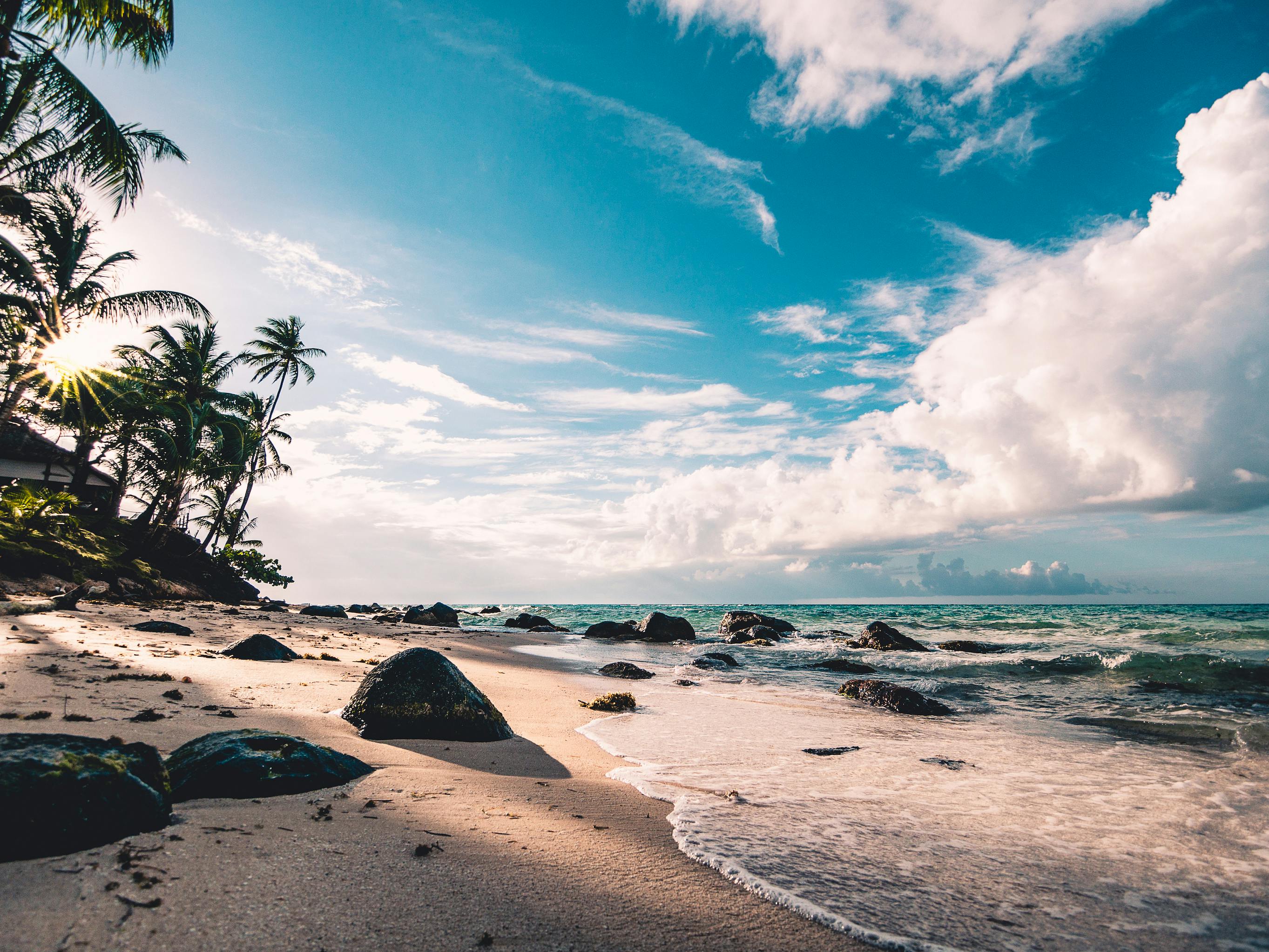 A sunny sandy beach with clear water and palm trees in the distance. - free wallpaper image