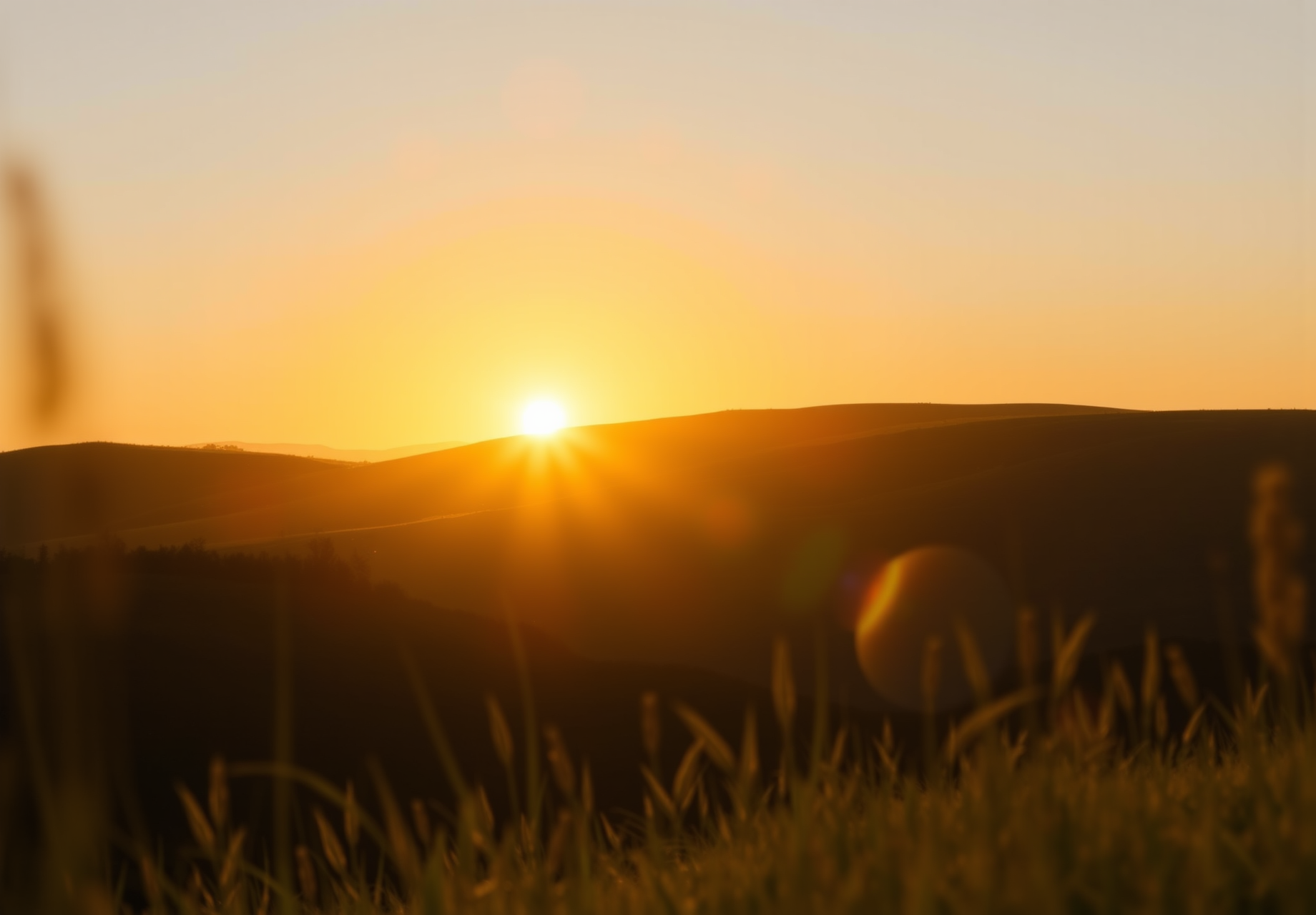 The sun sets in the west, golden sunlight falls on the hillside, grass, a warm scene. - wallpaper image