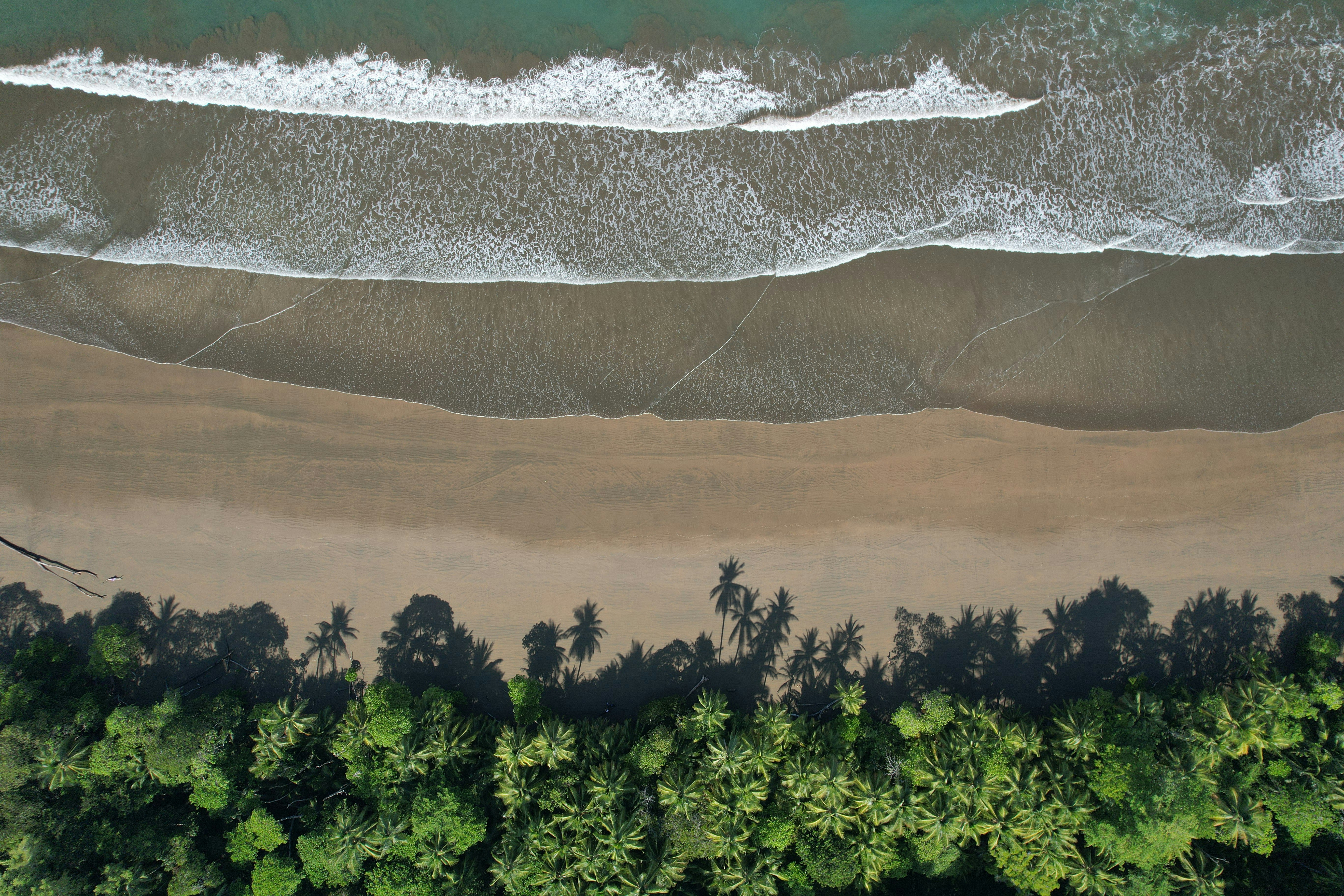 An aerial view of a coastline extending to the horizon, with azure water lapping at a golden sandy beach and a lush tropical rainforest on the shore. - free wallpaper image