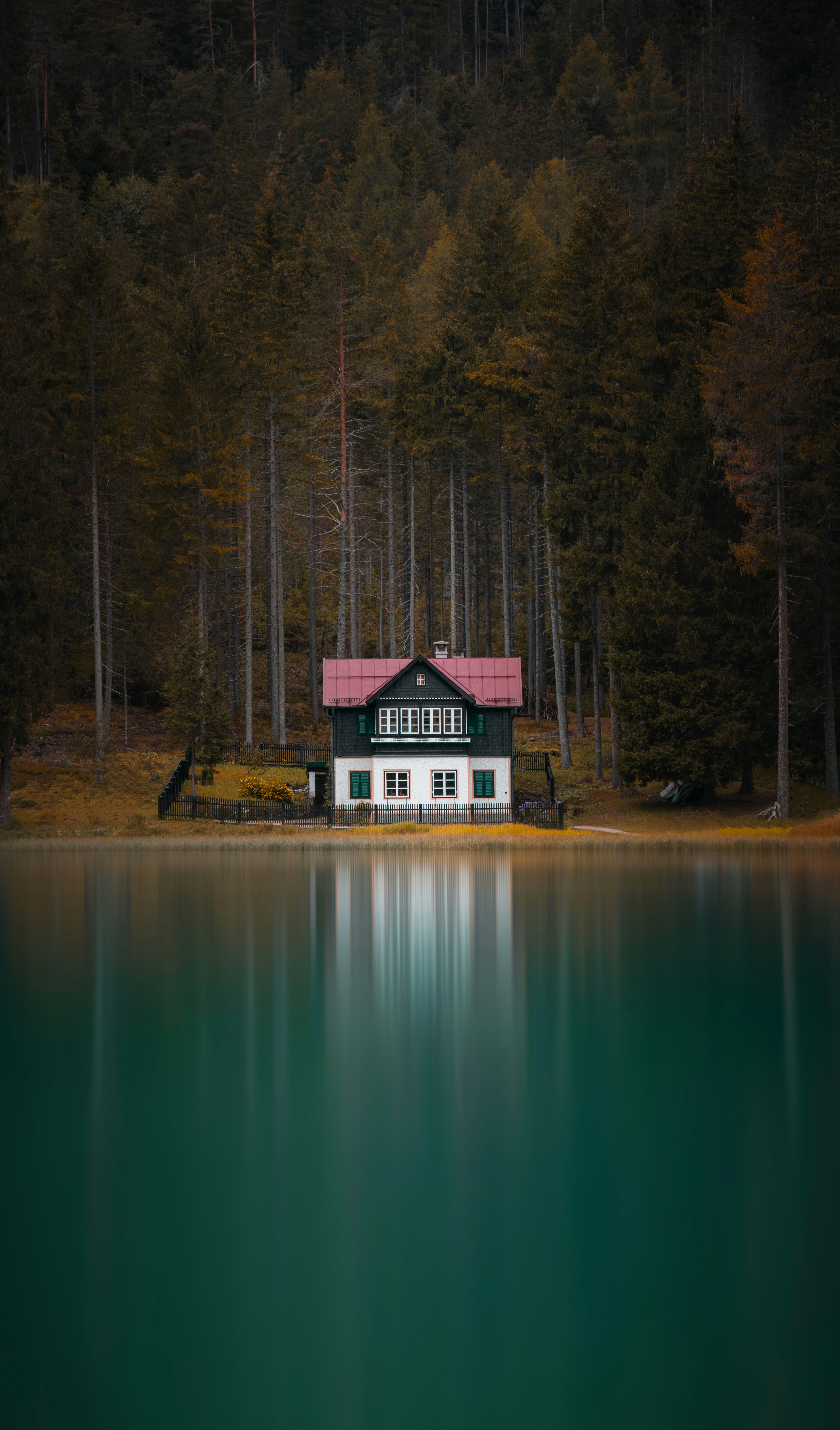 A white house sits by the lake, surrounded by a dense forest. - free wallpaper image