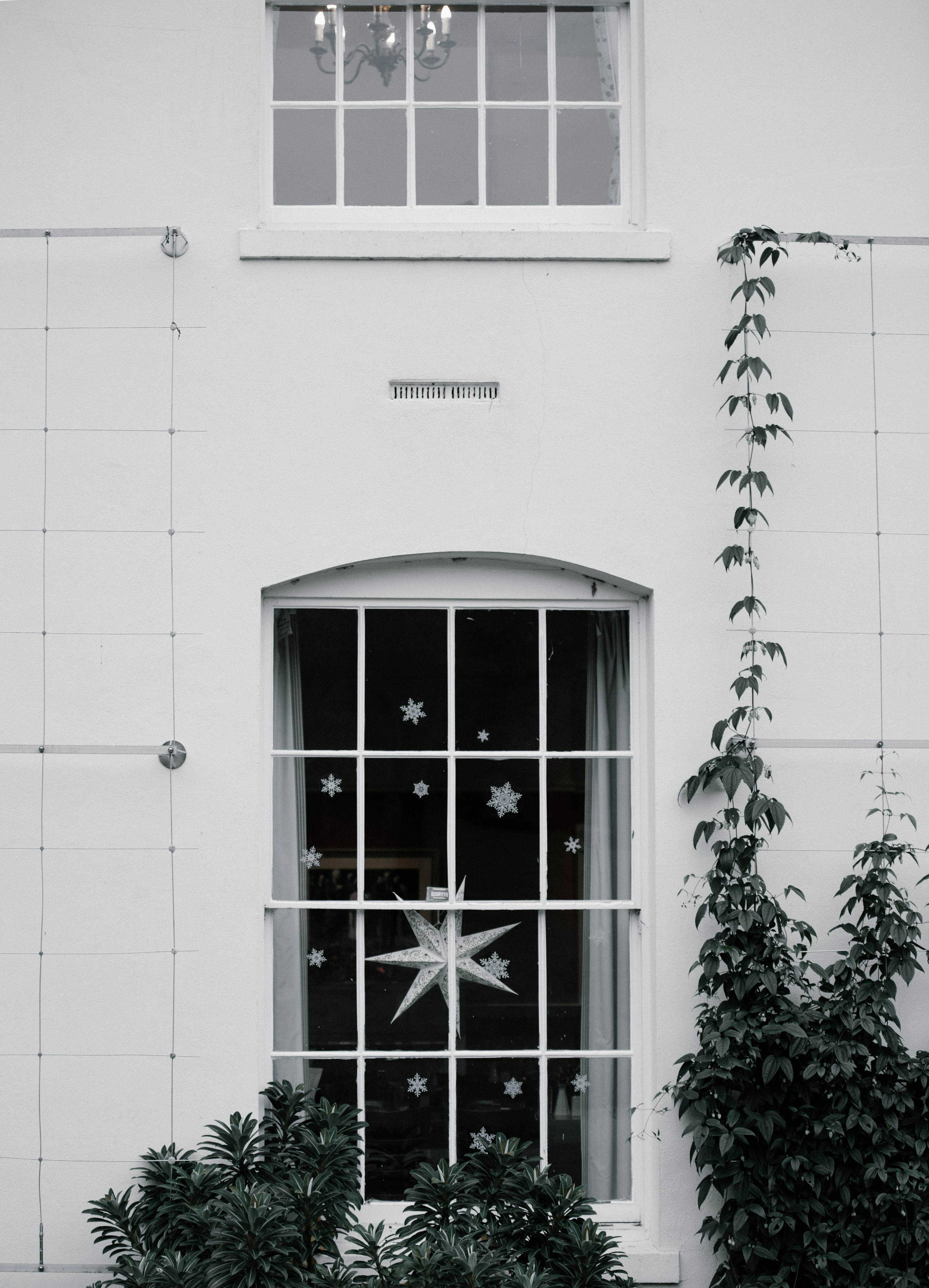 A white house with a window decorated with snowflakes and stars, outside the window is green plants. - wallpaper image