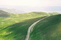 A winding road through a lush green forest, with distant mountains in the background, the sky is clear and the sun is shining. - free wallpaper image