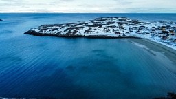 An overhead shot of a winter seaside scene, the sea is calm, the shore is covered with white snow, and houses are hidden in the snow. - free wallpaper image