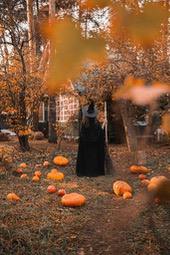 A woman in a black robe stands in a forest, she holds a broom in her hand, surrounded by many pumpkins. - wallpaper image